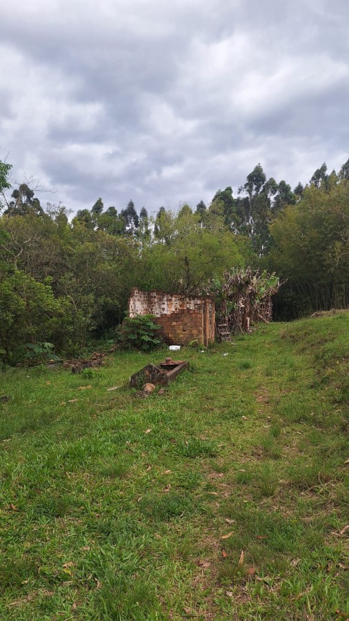 Sítio, 5 quartos, 6 m² - Foto 10