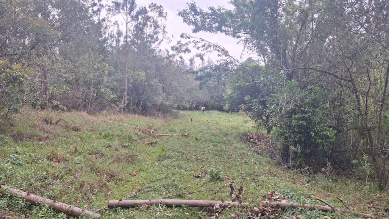 Sítio, 5 quartos, 6 m² - Foto 13