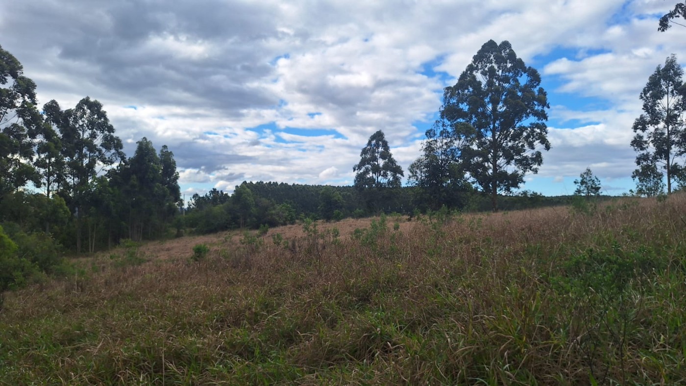 Sítio, 5 quartos, 6 m² - Foto 15