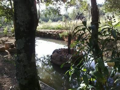 Sítio, 5 quartos, 6 m² - Foto 9