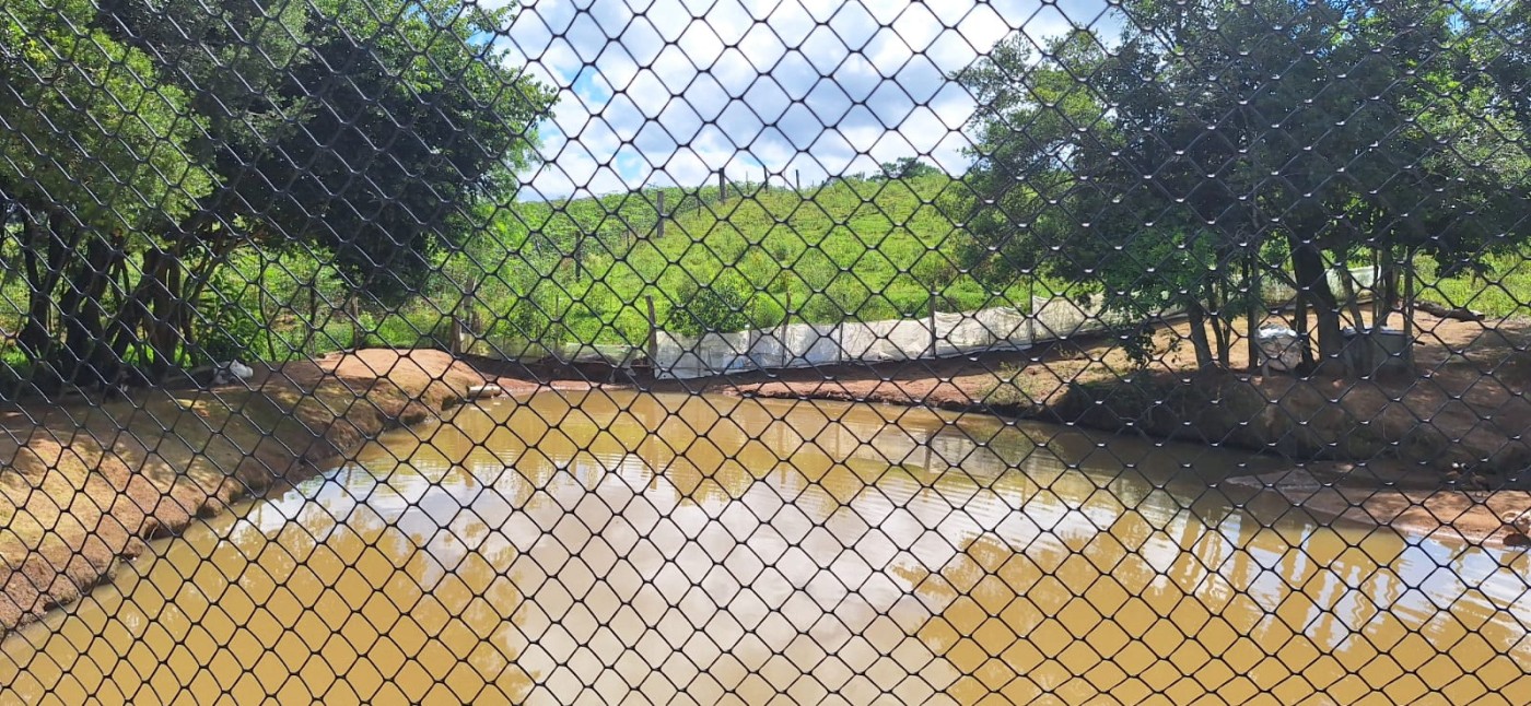 Chácara, 2 quartos, 10000 m² - Foto 9