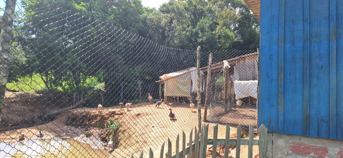 Chácara, 2 quartos, 10000 m² - Foto 5