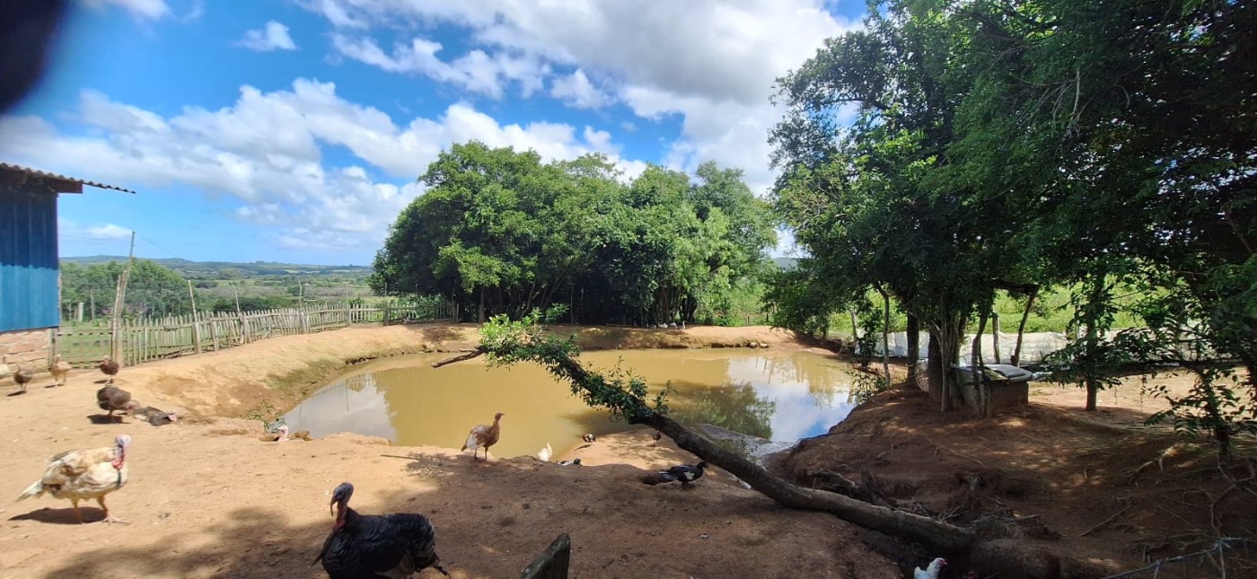Chácara, 2 quartos, 10000 m² - Foto 6