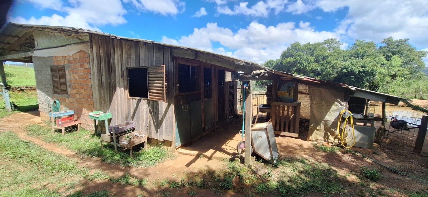 Chácara, 2 quartos, 10000 m² - Foto 11