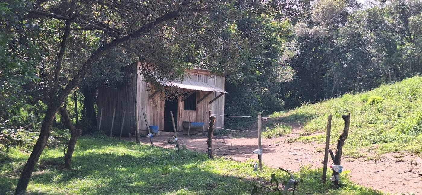 Chácara, 2 quartos, 10000 m² - Foto 12