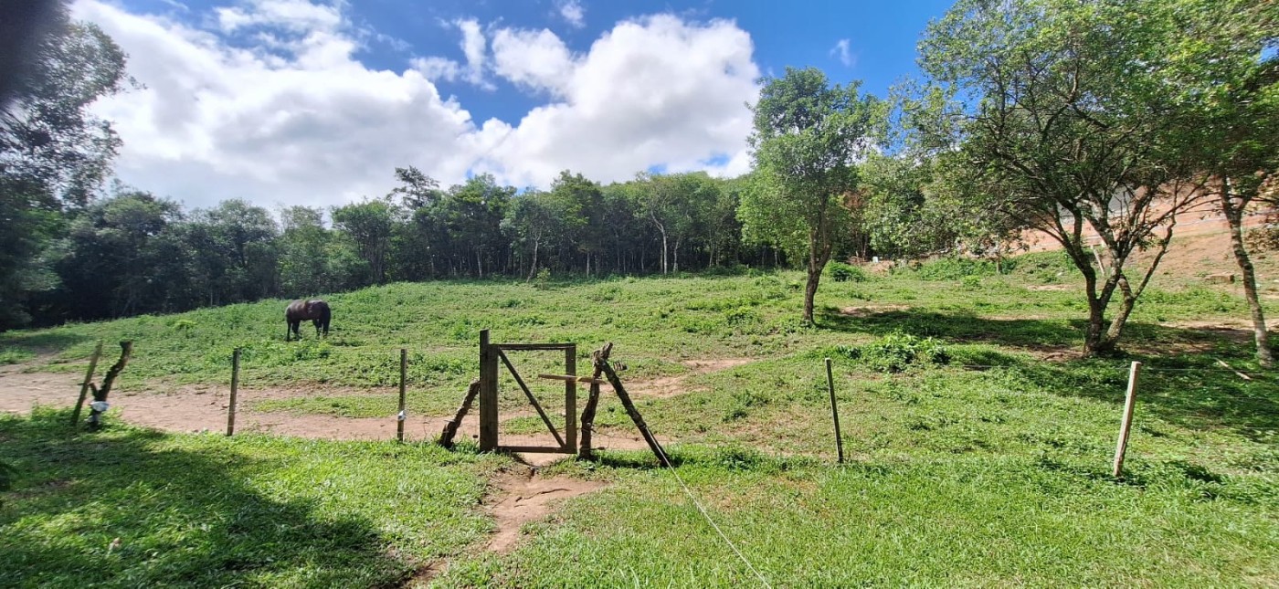 Chácara, 2 quartos, 10000 m² - Foto 14