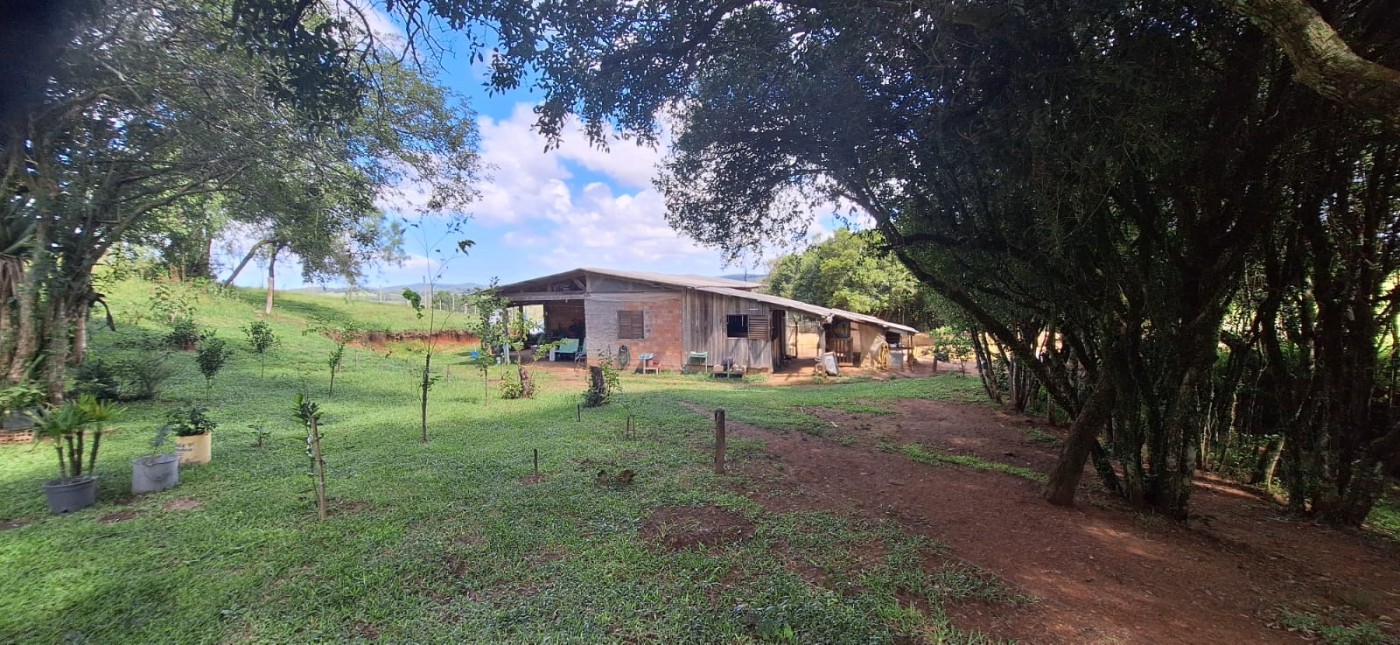 Chácara, 2 quartos, 10000 m² - Foto 7