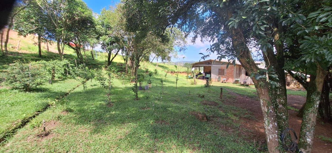 Chácara, 2 quartos, 10000 m² - Foto 16