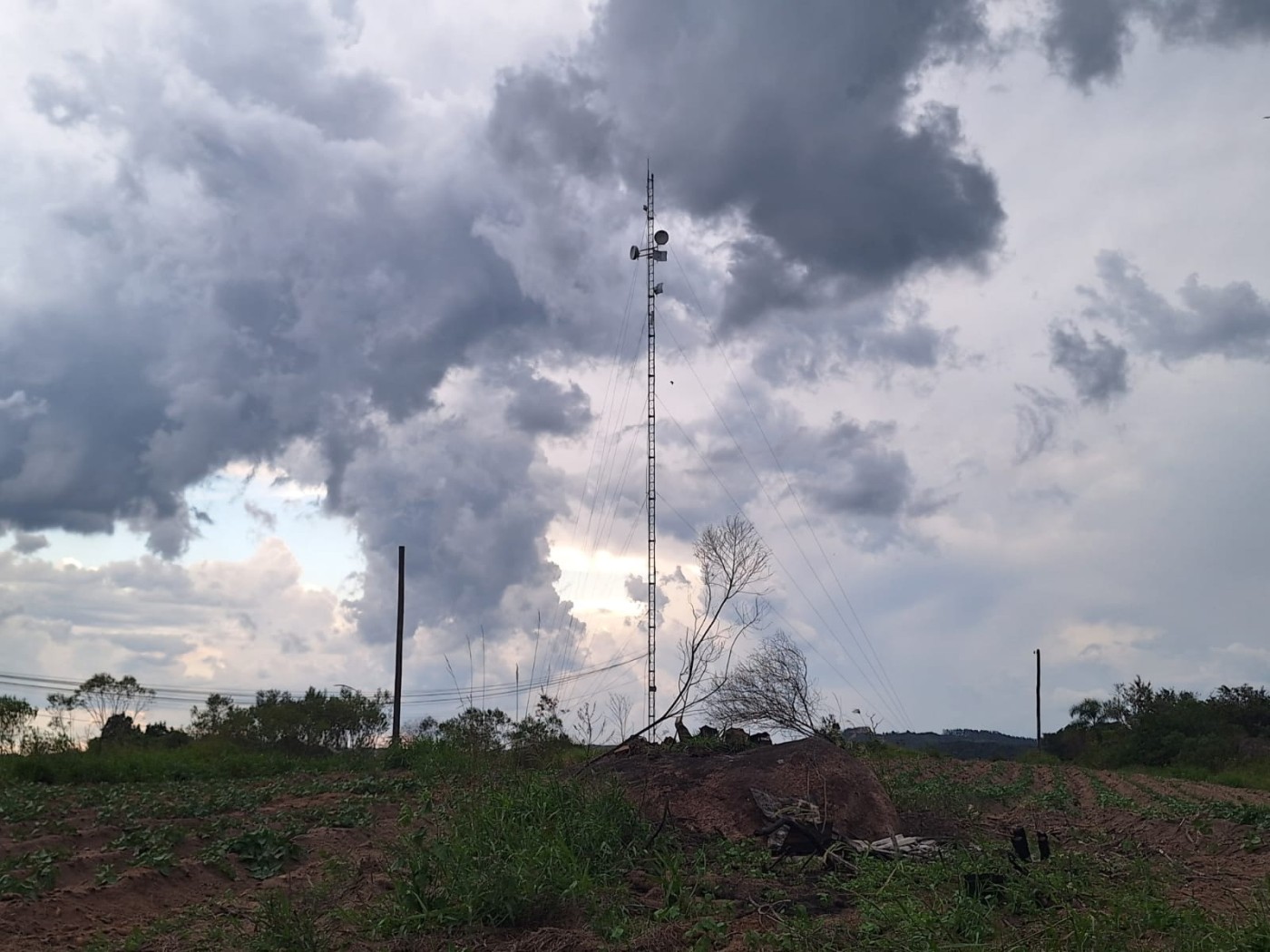 Chácara, 5000 m² - Foto 2